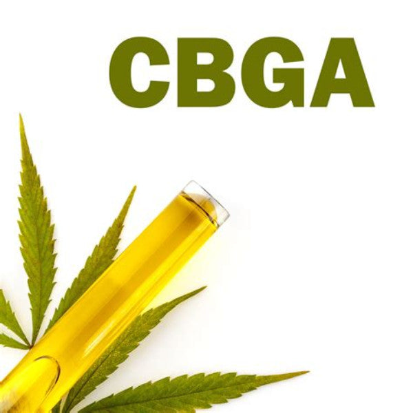 CBGA vs CBD : Comprendre les différences et choisir le cannabinoïde qui vous convient