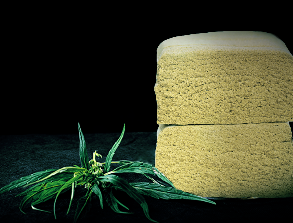 Hashs Cbd
