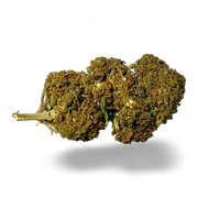 Cheesecake 11% CBD
