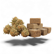 Muestra Sorpresa 💝