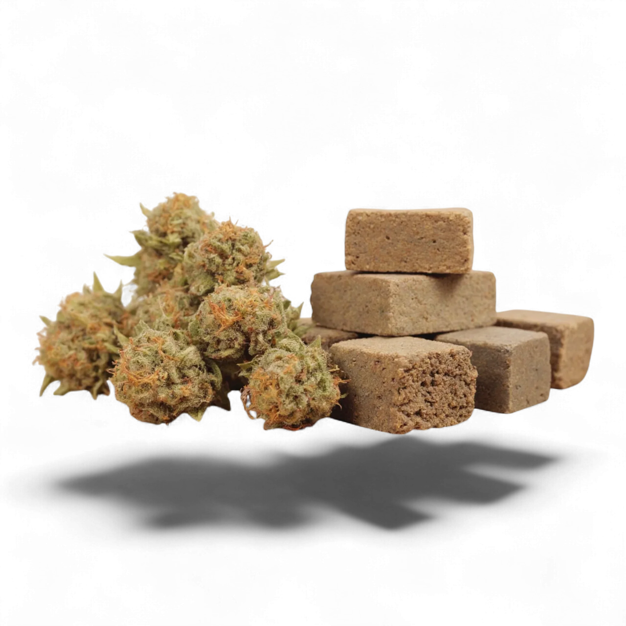 Muestra Sorpresa 💝