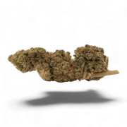G13 13%CBD