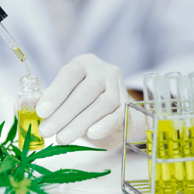 Le CBD et le cancer