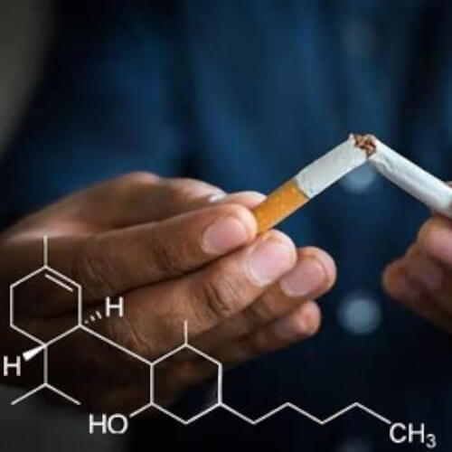 Le Pouvoir du CBD : Comment il Peut Aider à Surmonter l'Addiction au Tabac, à l'Alcool et aux Drogues