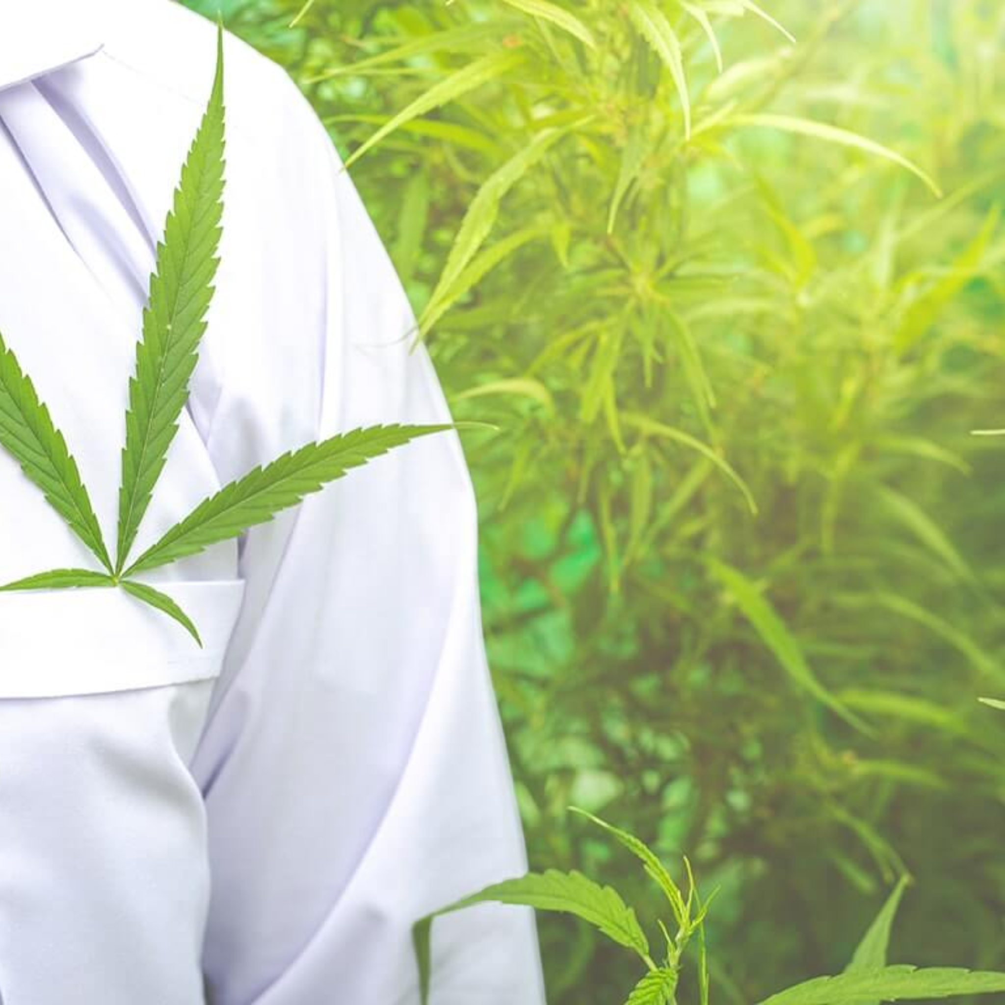 Les effets secondaires du CBD : Ce que tu dois savoir avant de consommer