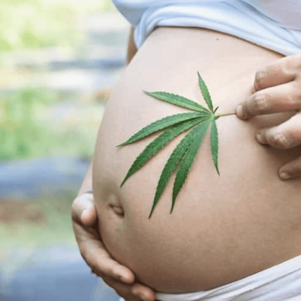 Le CBD pendant la grossesse : Avantages et précautions