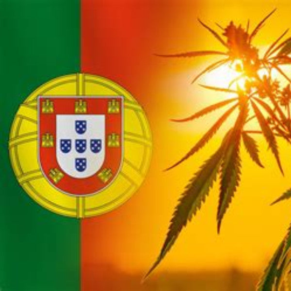 Légalisation du CBD au Portugal : Tout ce que vous devez savoir