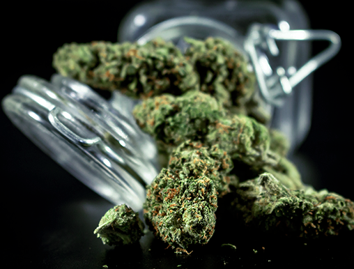 Fleurs CBD