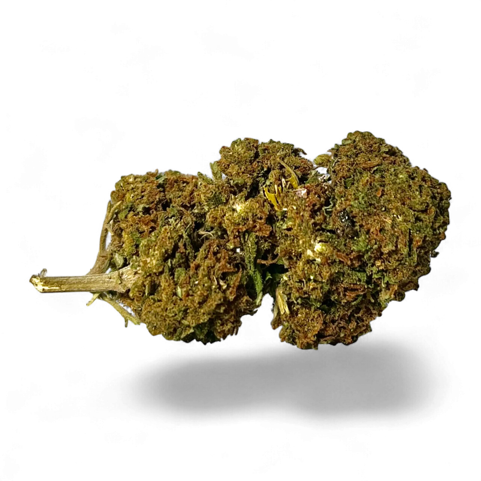 Cheesecake 11%CBD