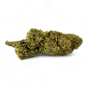 FedTonic 18%CBD