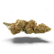 Fruit Défendu 18%CBD