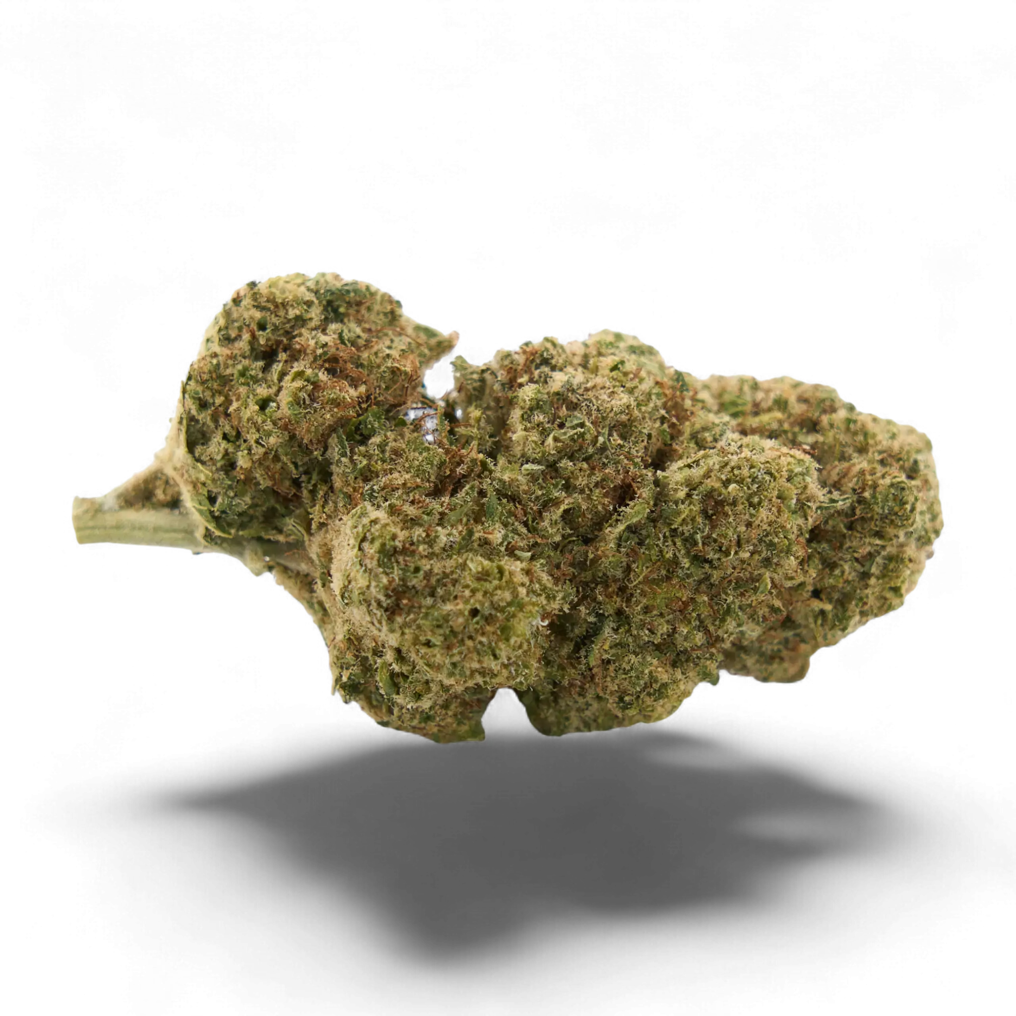 FedTonic 18%CBD