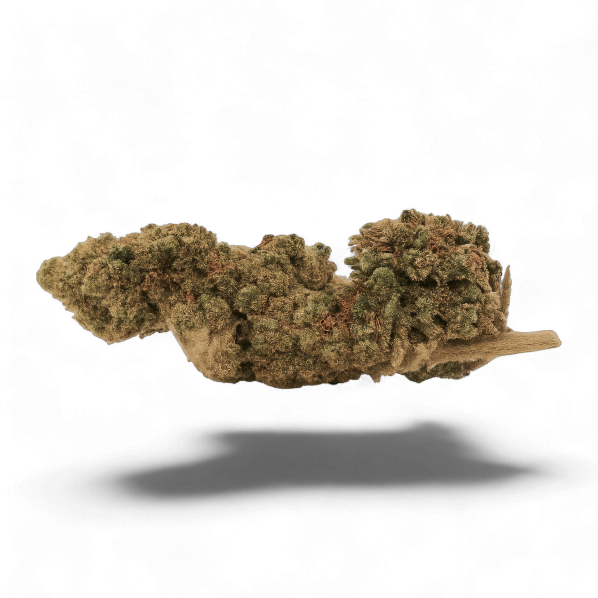 G13 13%CBD