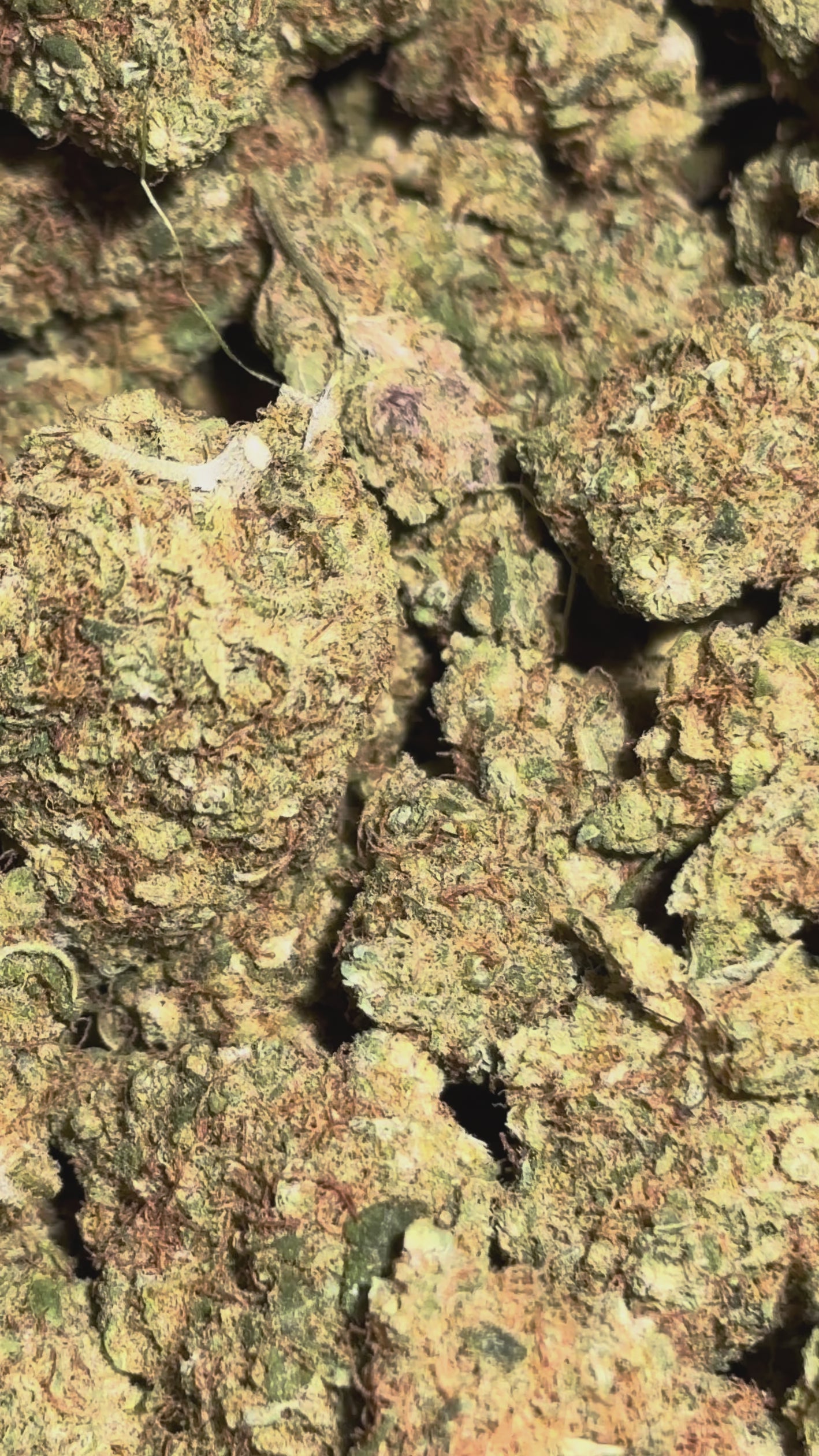 Charger la vidéo : Sour Diesel